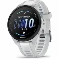 Garmin Forerunner 165 Music Dunstgrau/Steinweiss
